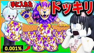 【ドッキリ】卵を盗むで"チート"をこっそり使って0.001%の確率を出したら妹はいつ気づくのかロブロックス【roblox/ディバイン】