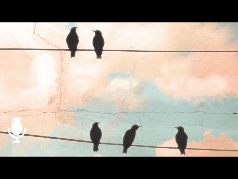 The Deep Well, Season 2, Episode 2: God’s Plan for Our Relationships