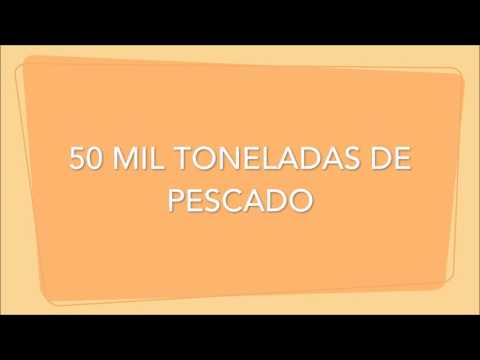 Alimentos que desperdiciamos