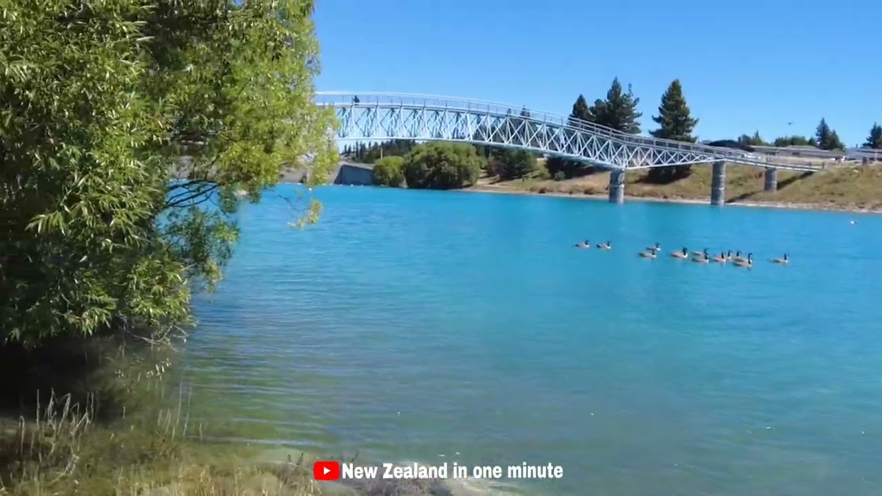 Catch a captivating peek of Mackenzie Sheepdog Memorial Statue.