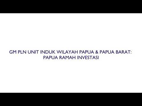 PLN Ajak Investor ke Papua