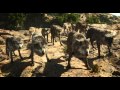 THE JUNGLE BOOK Discovery Tech Official Disney UK