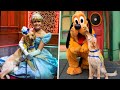 Service Dog In Training Embraces Cinderella At Disneyland
