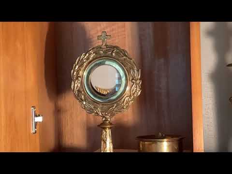 Mass for persecuted Christians. Adoration; homily on the moment Jesus calls us home
