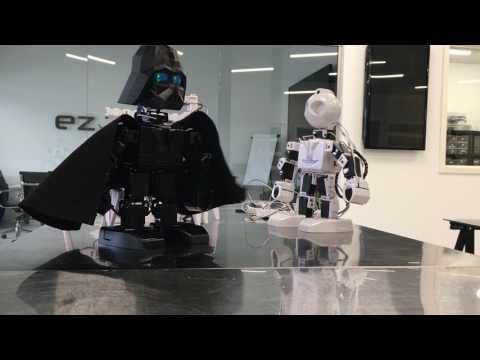 DJ's Darth Vader Humanoid Robot