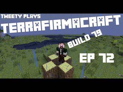 Tweety plays Terrafirmacraft ep 72 - New Start In Build 79