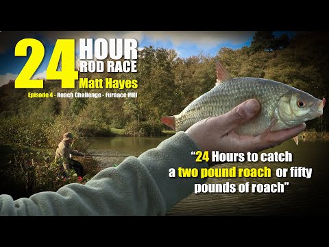 Matt Hayes | 24HRR  Ep4 | Roach Fishing Challenge “Catch 50lbs of Roach or a 2 pound Specimen!"