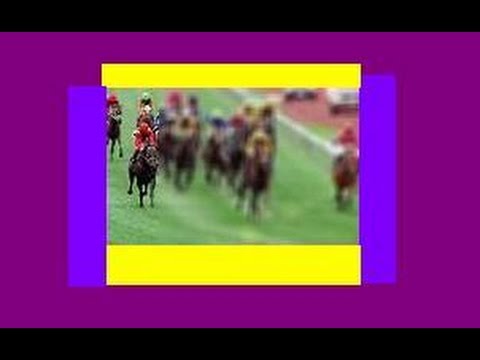 1991 BTC Ballarat Cup _ Mercator NZ