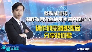 盤跌成這樣，海豚為何資金使用率還高達45%?操作的思維跟理念分享給你聽 (圖)
