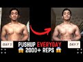 I did 300 push-ups Every Day for a whole week and this is what happenned...