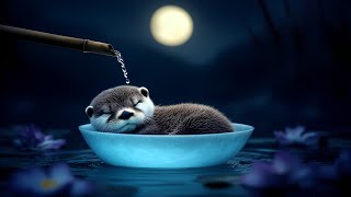 Beautiful Relaxing Music for Otter - stress relief , insomnia healing , heal mind , study focus