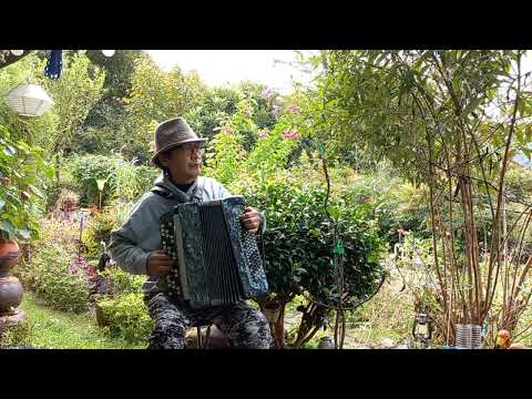 "카튜샤"  러시아 바얀 아코디언