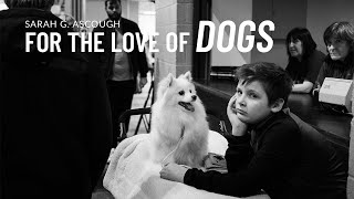 Why do so many of my photos have dogs in them?