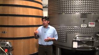 Gustavo explains wood vs stainless steel tanks