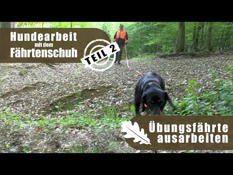 Dog work with tracking shoes | Part 2 - Working out a practice track | Wild and Dog