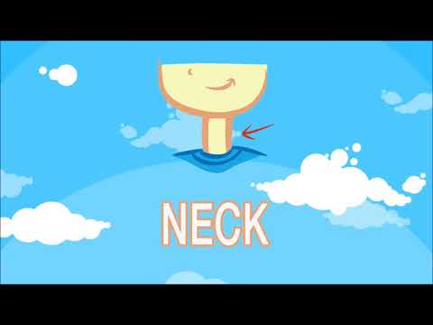 بكلمات عربي انجليزي اسماء اعضاء جسم الانسان بانجليزي رقبة Neck تعليم الاطفال اللغة الانجليزية