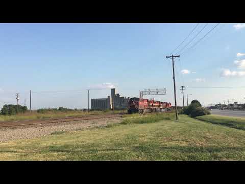 CP 8748 Shave and Haircut