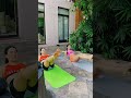 Sara Ali Khan And Janhvi Kapoor Workout For Weight Loss Shorts Saraalikhan Workout