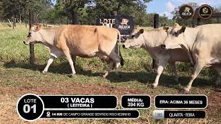 Vídeo LOTE 01
