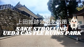 Exploring Ueda🚶‍♂️| Walking Ruins of Ueda Castle Park in Nagano Prefecture | Spring 2025 Japan 🌸
