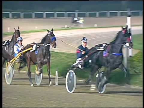 Trotto 15/11/2015 - 8° corsa