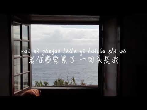 [遗憾也值从-王笖雯未胖]YI HAN YE ZHI DE-WANG JING WEN BU PANG /TIKTOK,抖音,틱톡/Pinyin Lyrics, Pinyin 歌词,병음가사/No AD,无广偿