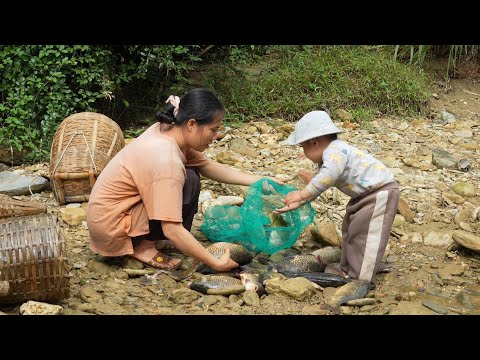Full video episodes: Single mother and baby - catching giant fish and making dried fish.