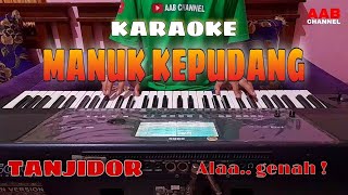 Download lagu MANUK KEPUDANG KARAOKE PERSI TANJIDOR NADA CEWEK mp3