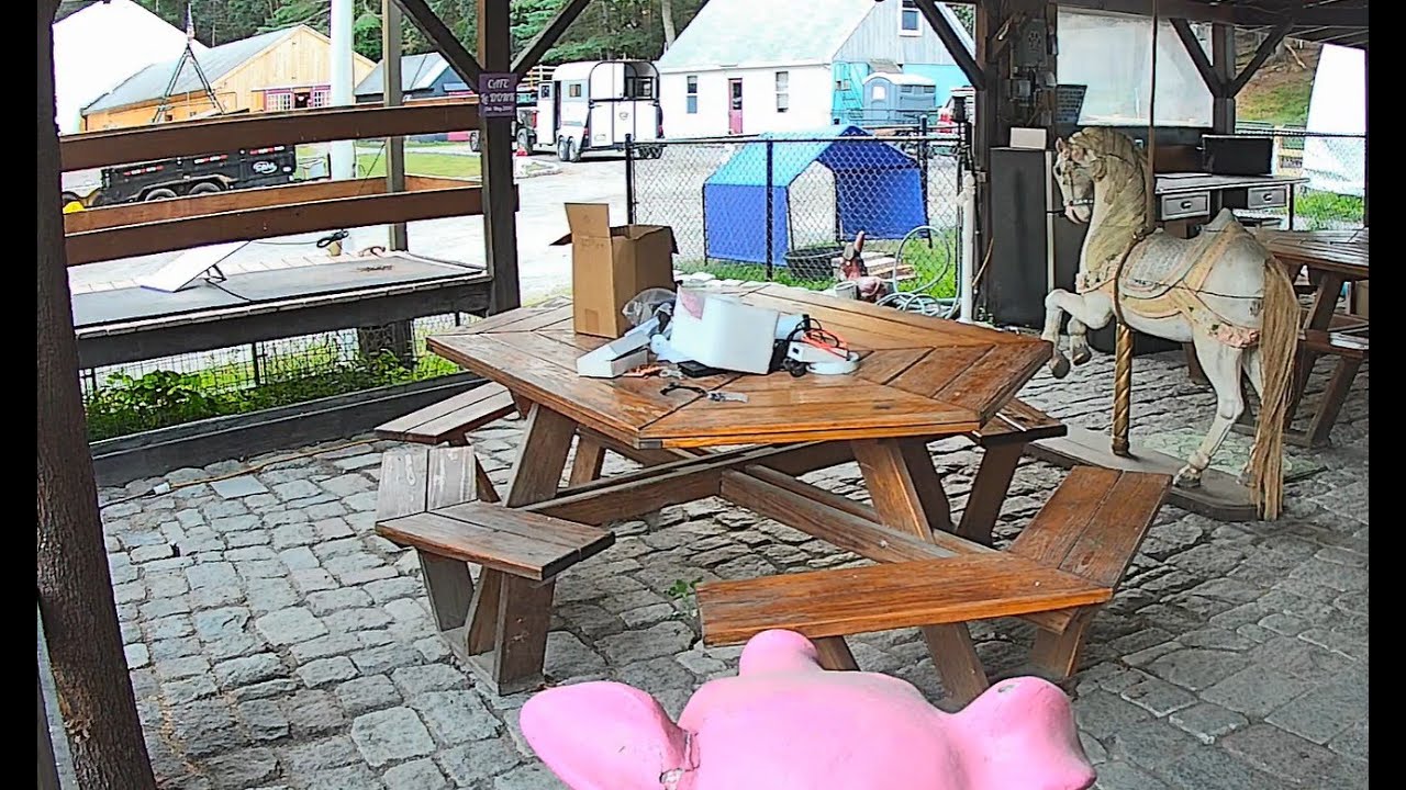Live webcam view of Goldy's Farm Duck Cam