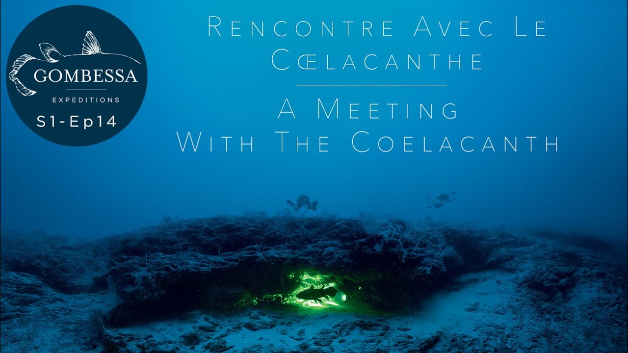 Gombessa I - Rencontre avec le Coelacanthe - Ep14