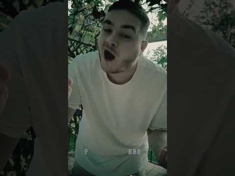 Aka Seul Two - Fox Die #inacheves4