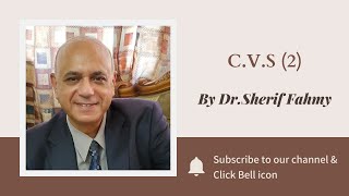 Dr. Sherif Fahmy - C.V.S (2)