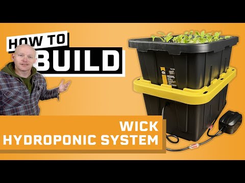 How to Build a Wick Hydroponic System