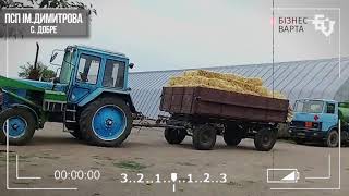 Власне розслідування