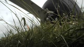 Cloud Control - Gold Canary