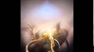 Architects Hallucinate - The Agonist