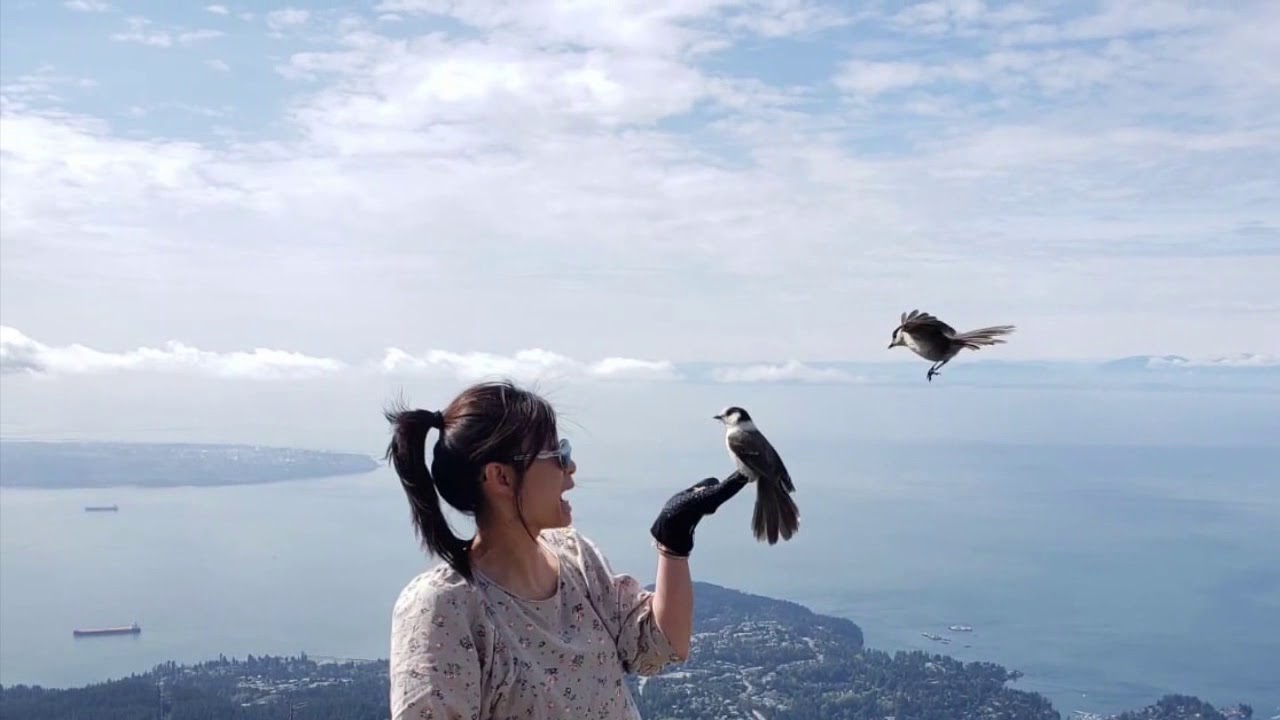 Singing with Birds on Cypress Mountain in North Vancouver