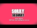 The Biebers - Sorry [OFFICIAL LYRIC VIDEO] 