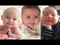 Cute Baby Moments Of The Week Funny Baby Videos Compilation Try Not To Laugh Babies Part 18