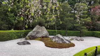 How to Use Rocks in Your Garden for Reflection.
