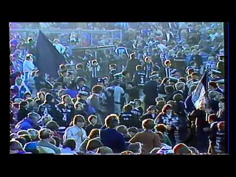 After the Game Round 11 1982 VFL