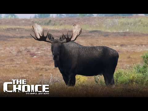 The Choice and RJ and Aubrey