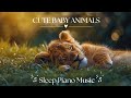 Cute Baby Animals Relaxation Film With Peaceful Relaxing Music 𝗦𝗟𝗘𝗘𝗣 𝗣𝗜𝗔𝗡
