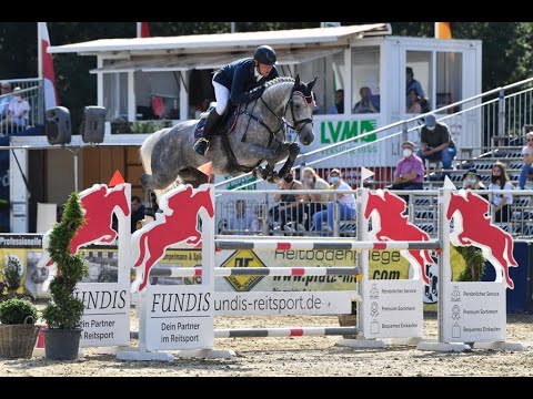 CEMPEROR ~ 5j. gekörter Hengst v. Cellestial - Kaiserwind ~ Finale Bundeschampionat