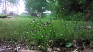preview picture of video 'Hail Storm in WI June 17, 2013'