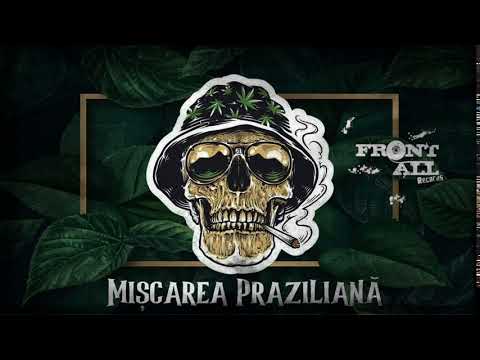 Gudron - Medelinti (cu Ledih)