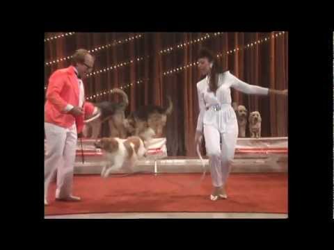 Live Dick Clark Presents 04 Dog Performance