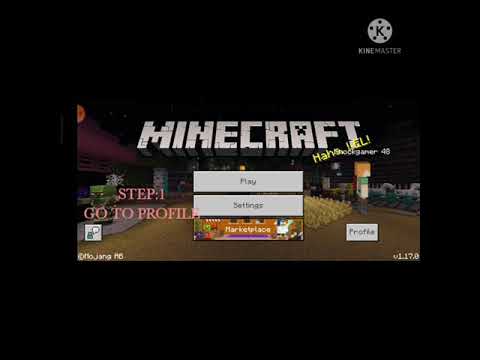 Unlock Any YouTuber Skin in Minecraft NOW!