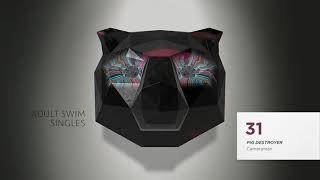 Pig Destroyer - Cameraman