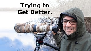 Wildlife Photography Tips - This is What I'm Doing to Improve